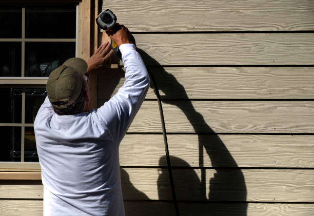 Affordable Siding Repair and Maintenance Services in Steubenville, OH